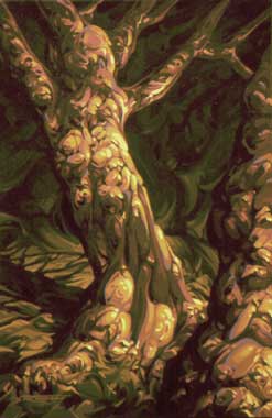 Burl with Sunlight