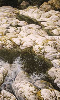 Rock Pools, Little Qualicum