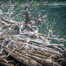 Deadfall At Waters Edge
